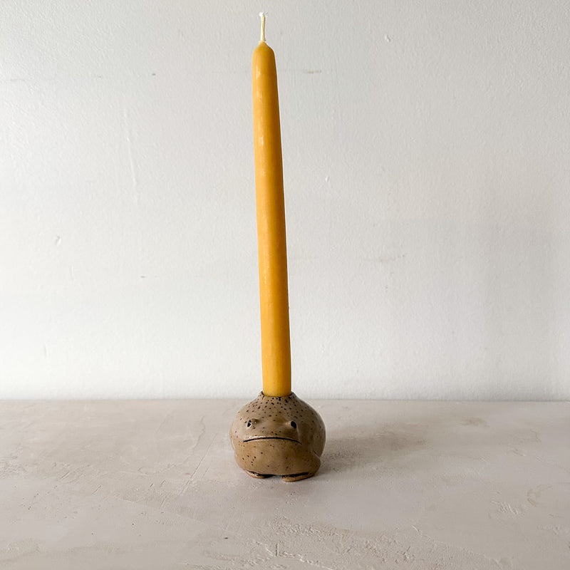 Toad Candle Holder