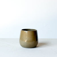 Evangeline Vessel