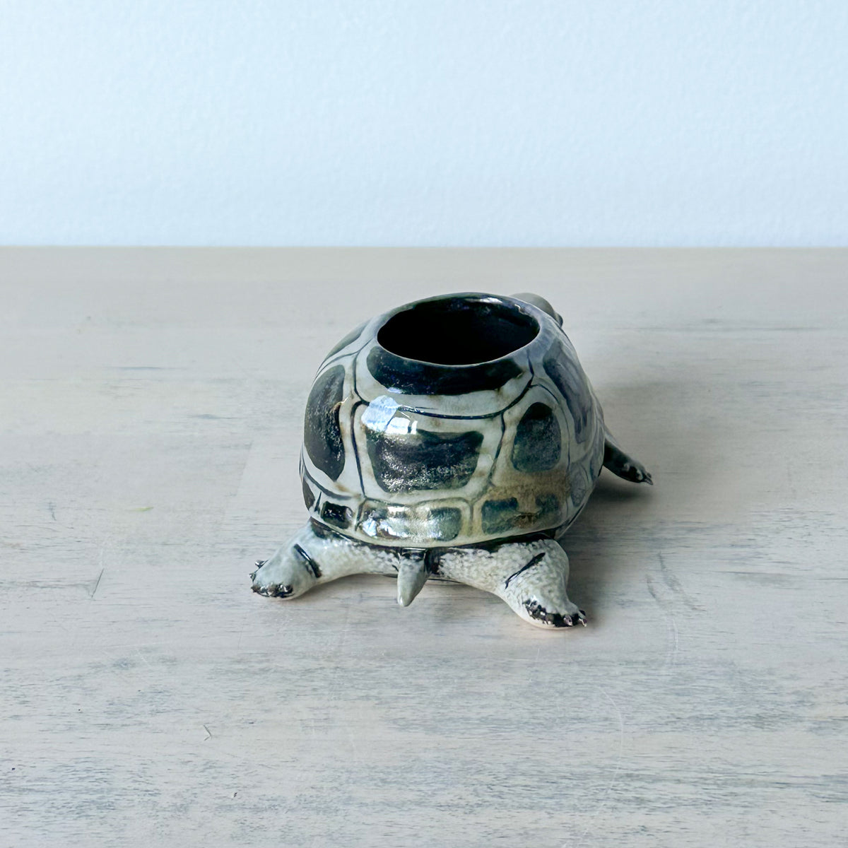 Turtle Vase