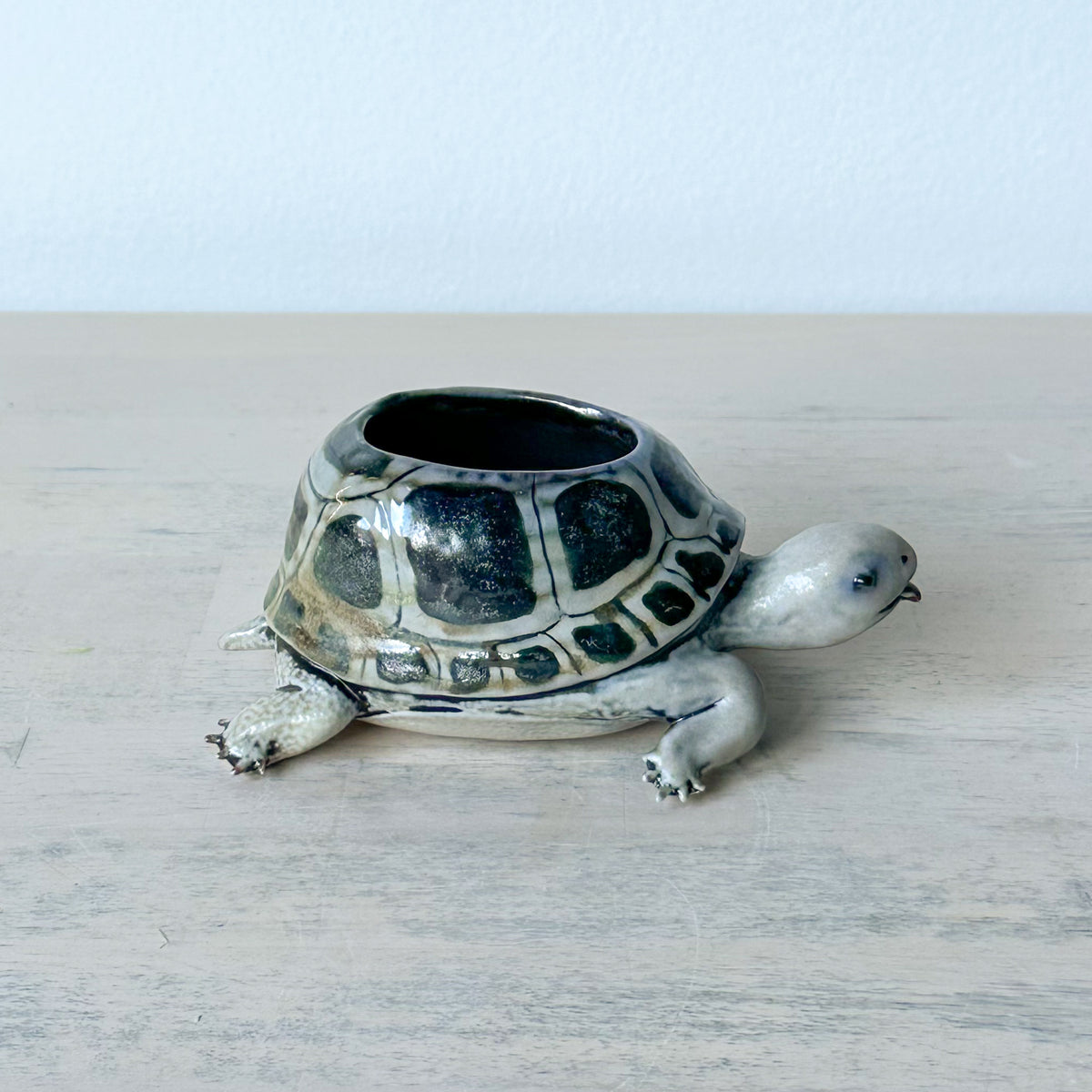 Turtle Vase