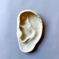 Large Pierced Ear