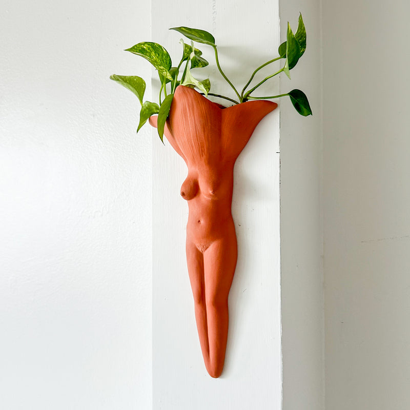 Terra Cotta Wallflower