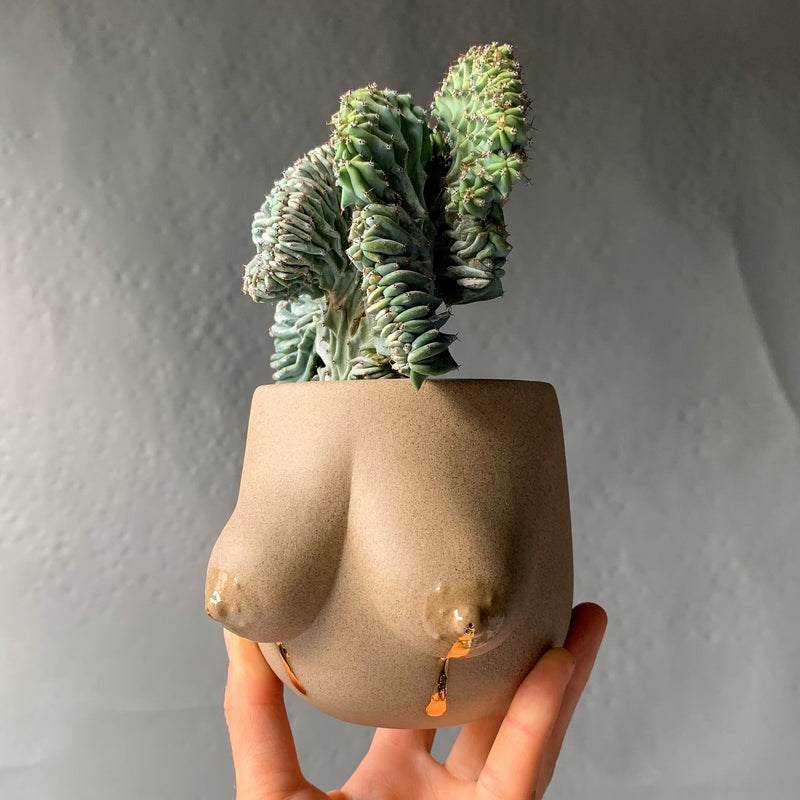 Sasha Planter -- Liquid Gold