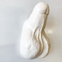 Biggest Little Dick